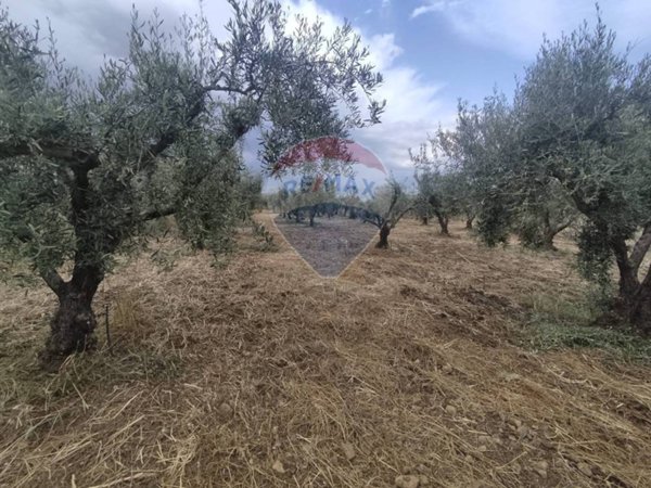 negozio in vendita ad Aidone