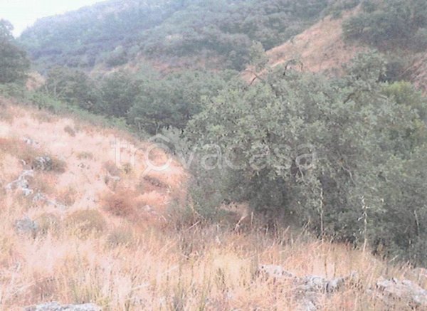 terreno agricolo in vendita ad Aidone in zona Baccarato