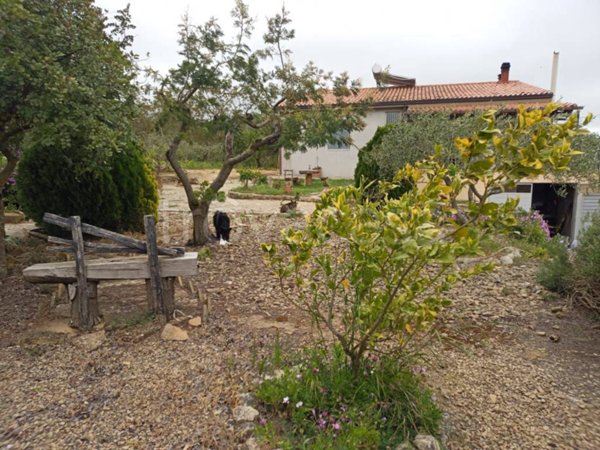 casa indipendente in vendita ad Aidone