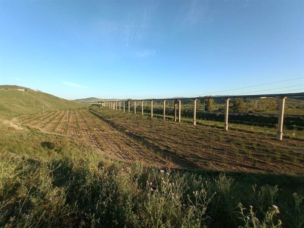 terreno agricolo in vendita ad Assoro