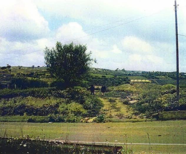 terreno agricolo in vendita a Barrafranca