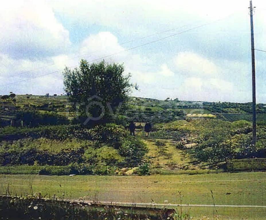 terreno agricolo in vendita a Barrafranca