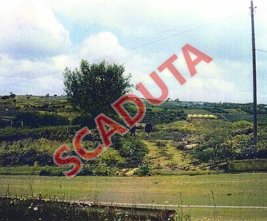 terreno agricolo in vendita a Barrafranca