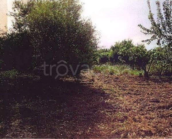terreno agricolo in vendita a Barrafranca