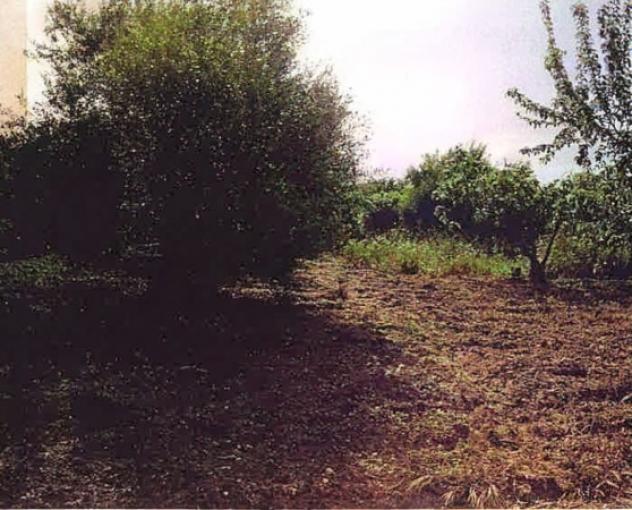 terreno agricolo in vendita a Barrafranca