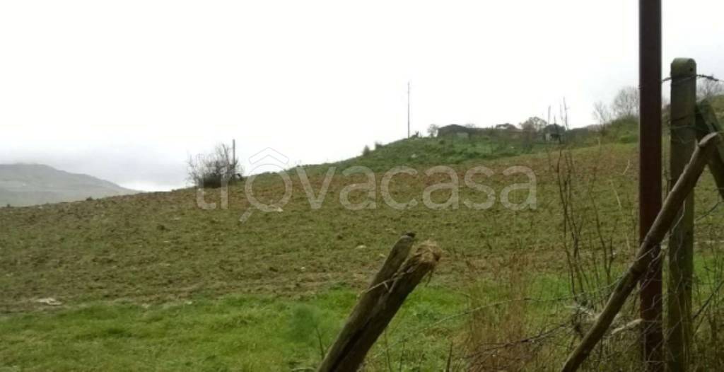 terreno agricolo in vendita a Barrafranca