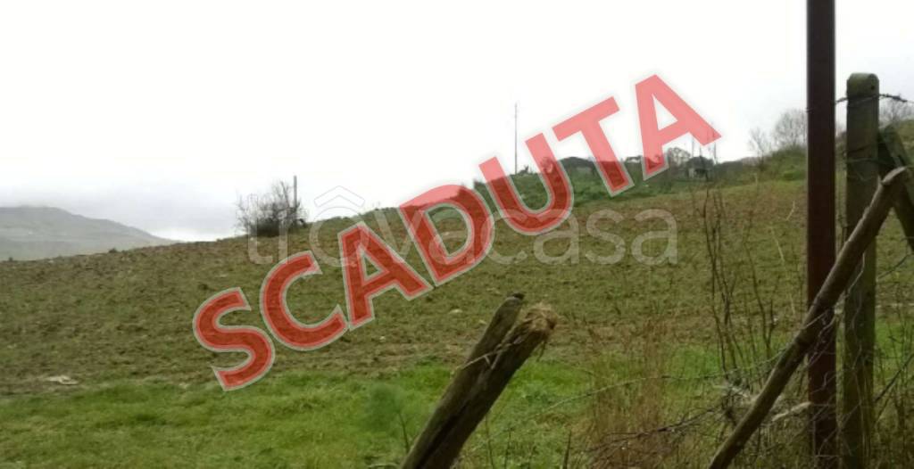 terreno agricolo in vendita a Barrafranca
