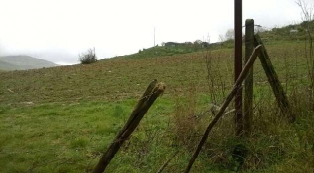 quadrivano in vendita a Barrafranca