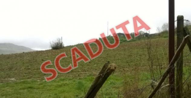 terreno agricolo in vendita a Barrafranca