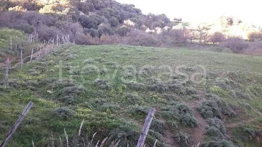 monolocale in vendita a Calascibetta