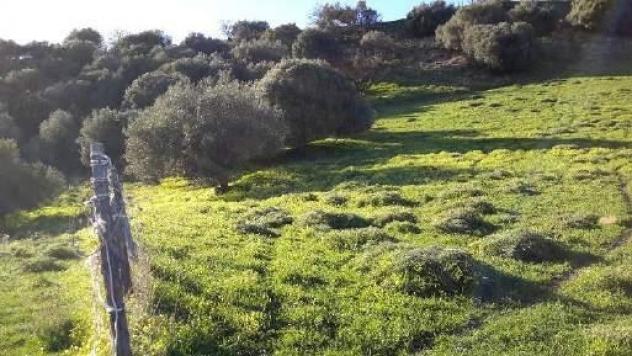 monolocale in vendita a Calascibetta