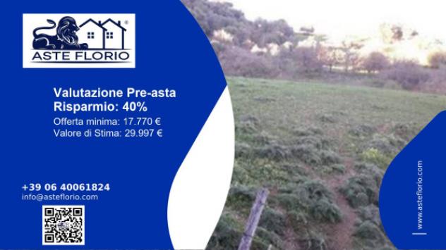 terreno agricolo in vendita a Calascibetta