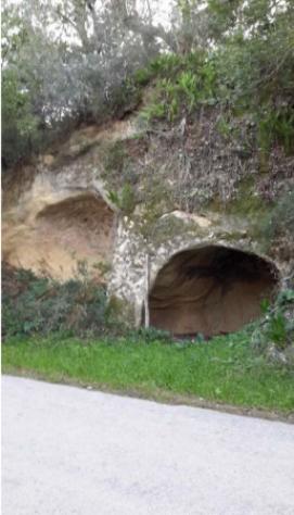 terreno agricolo in vendita a Calascibetta