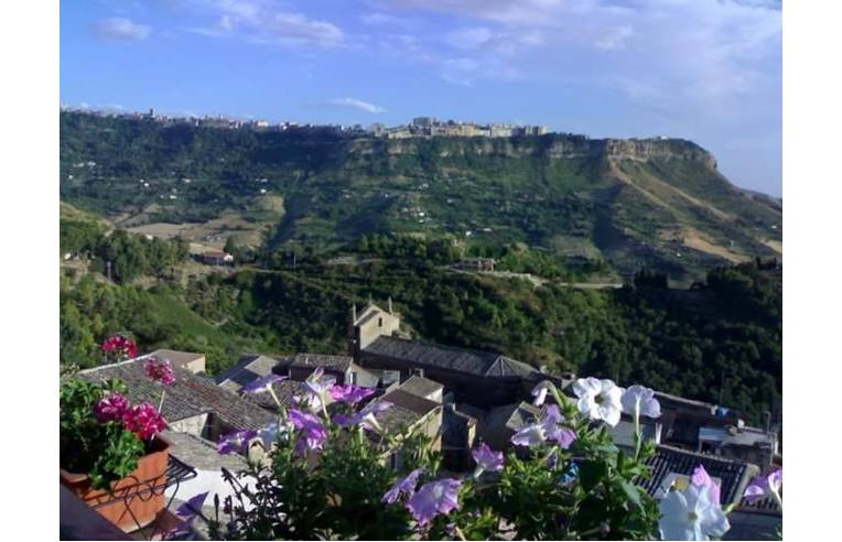 appartamento in vendita a Calascibetta