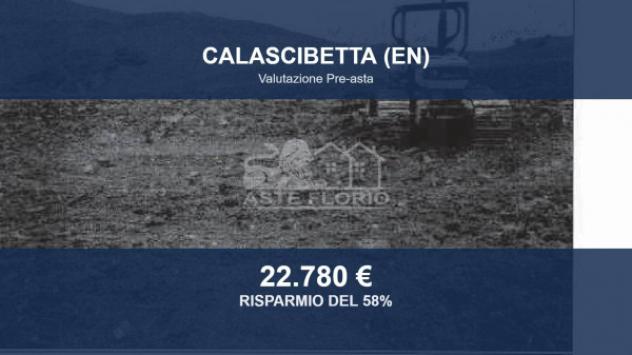 terreno agricolo in vendita a Calascibetta