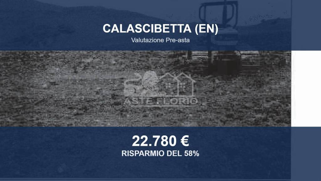 terreno agricolo in vendita a Calascibetta