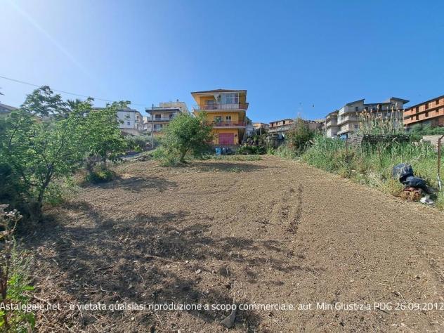 terreno agricolo in vendita a Catenanuova