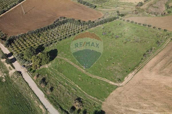 terreno agricolo in vendita a Centuripe