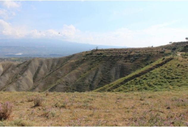 terreno agricolo in vendita a Centuripe