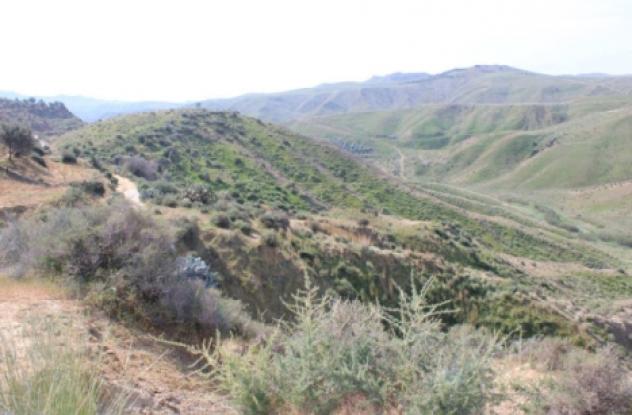 terreno agricolo in vendita a Centuripe