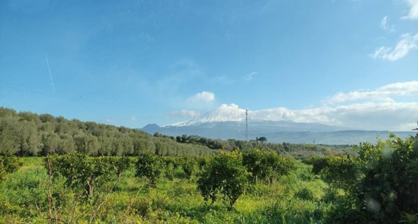 terreno agricolo in vendita a Centuripe