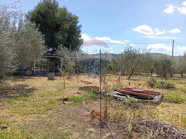 terreno agricolo in vendita a Centuripe