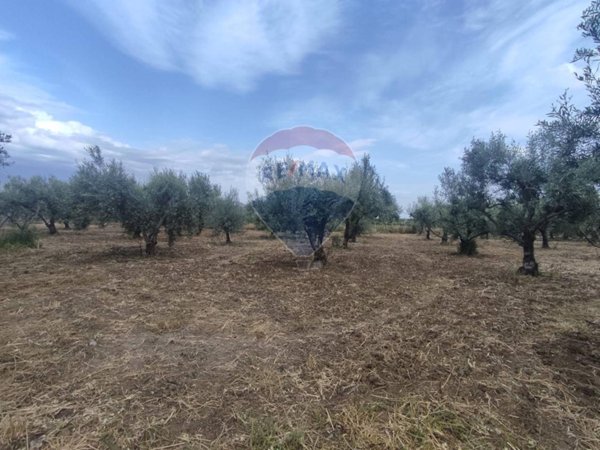 negozio in vendita a Centuripe in zona Carcaci