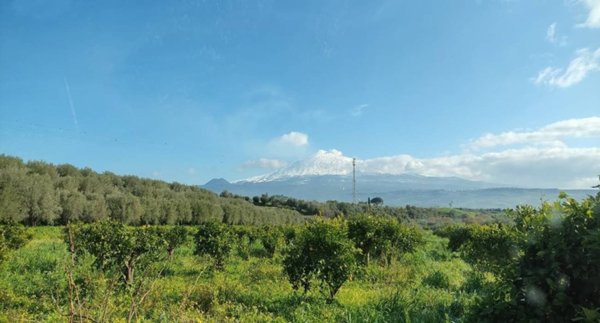 terreno agricolo in vendita a Centuripe