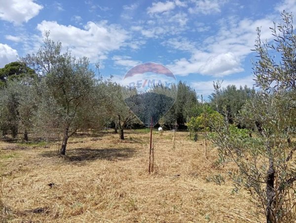 terreno agricolo in vendita a Centuripe