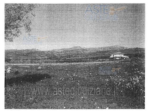terreno agricolo in vendita a Centuripe