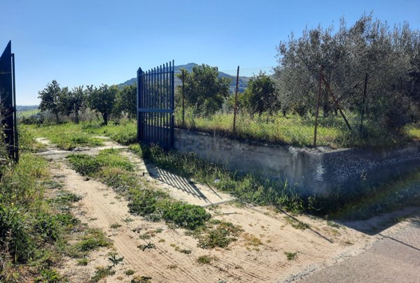 terreno agricolo in vendita a Centuripe