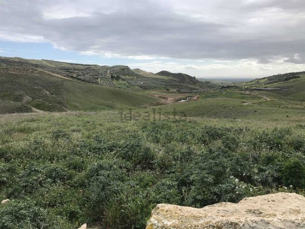 terreno agricolo in vendita a Centuripe