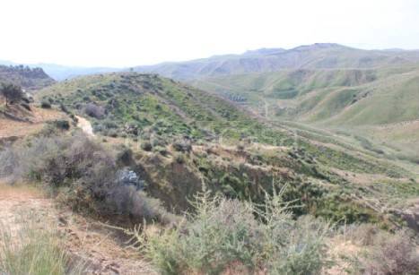 monolocale in vendita a Centuripe