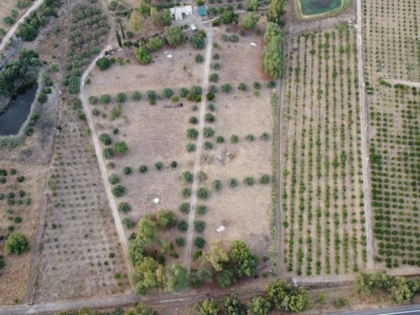 casale in vendita a Centuripe