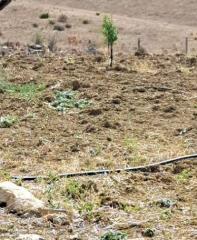 terreno edificabile in vendita a Centuripe