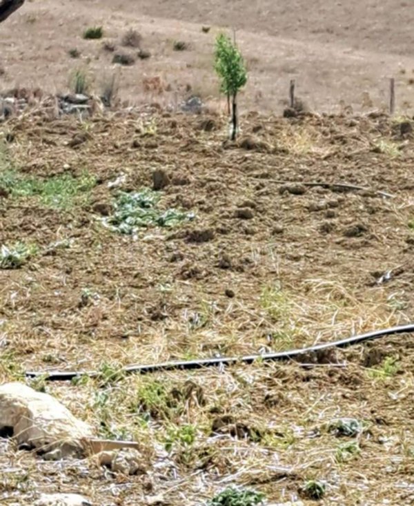 terreno edificabile in vendita a Centuripe