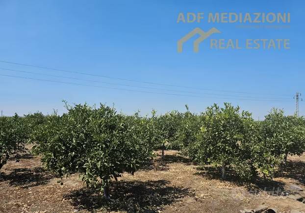 terreno agricolo in vendita a Centuripe