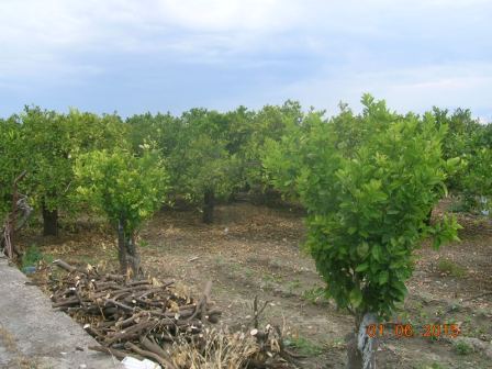 terreno in vendita a Centuripe