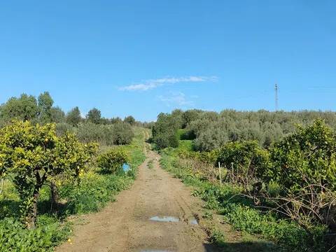 terreno in vendita a Centuripe in zona Carcaci