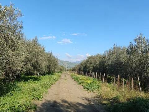 terreno in vendita a Centuripe in zona Carcaci