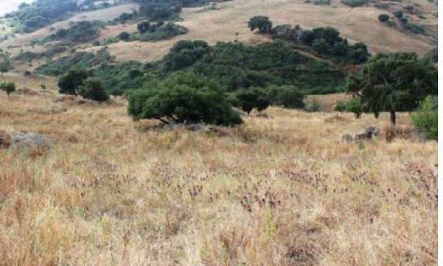 casale in vendita a Cerami