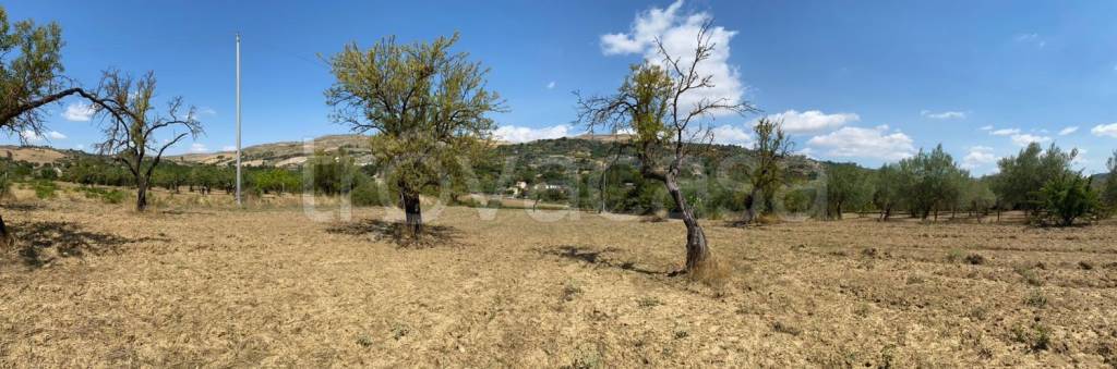 terreno agricolo in vendita ad Enna in zona Sant'Anna / Enna Bassa