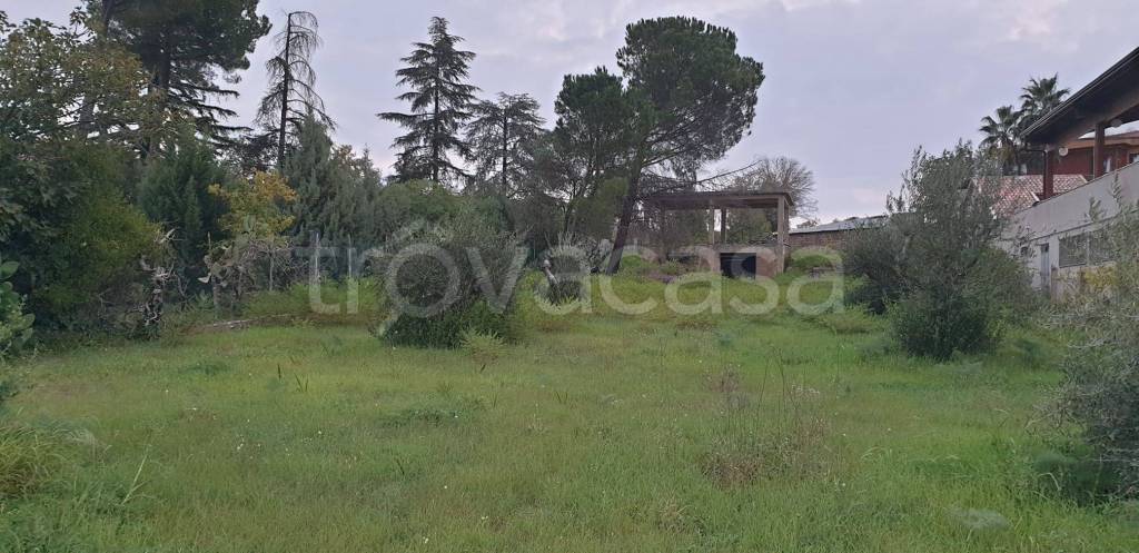 terreno agricolo in vendita ad Enna in zona Pergusa
