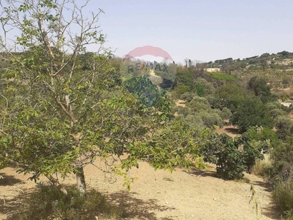 terreno agricolo in vendita ad Enna in zona Pergusa