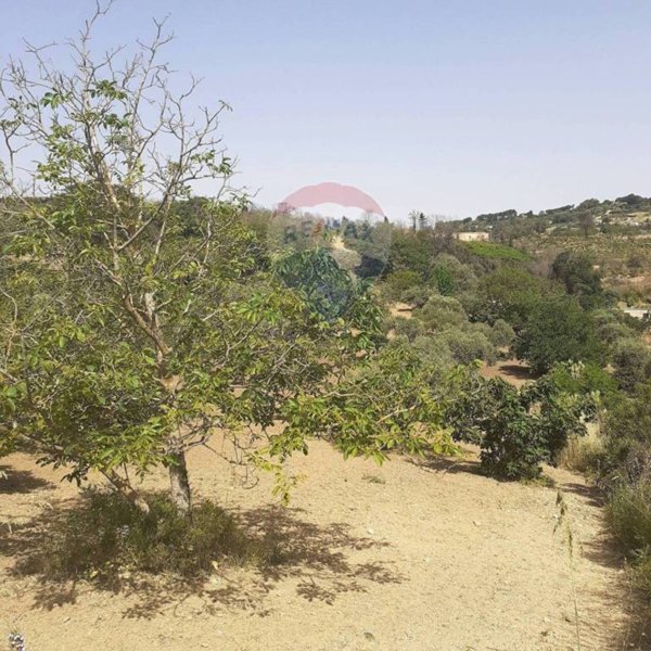 terreno agricolo in vendita ad Enna in zona Pergusa