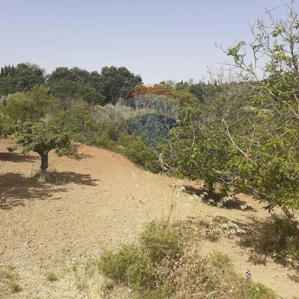 terreno agricolo in vendita ad Enna in zona Pergusa