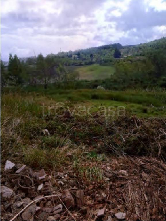 terreno agricolo in vendita ad Enna