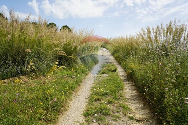 terreno agricolo in vendita ad Enna in zona Pergusa