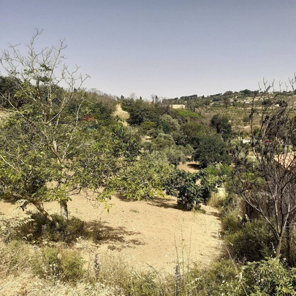 terreno agricolo in vendita ad Enna in zona Pergusa
