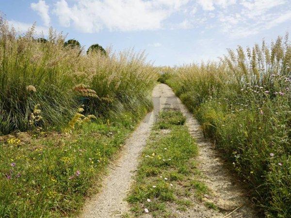 terreno agricolo in vendita ad Enna in zona Pergusa